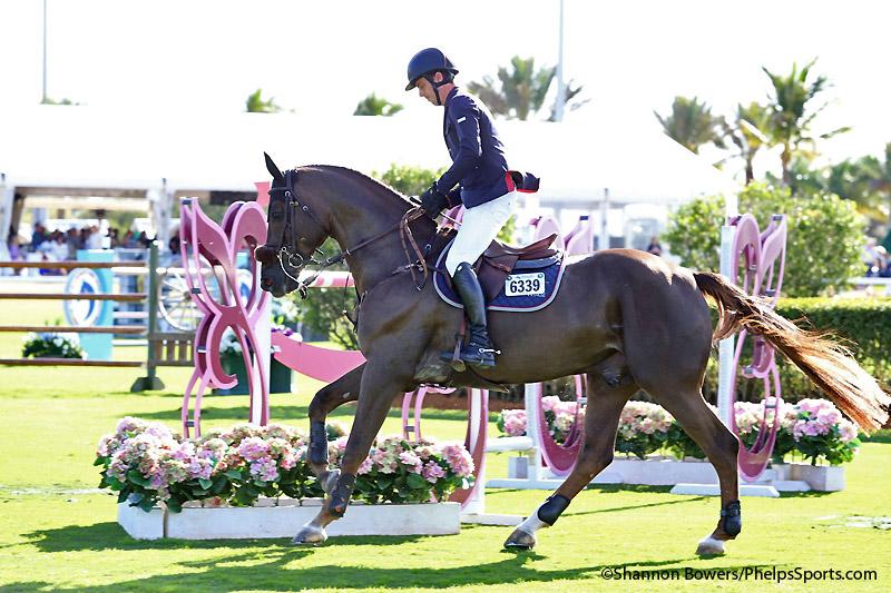 The Netherlands will be represented by Harrie Smolders &amp; Don VHP Z during the jump-off #WEF #GrandPrix <a href="/SaerCoulter/">Saer Coulter</a>