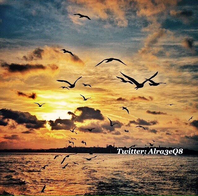 Alra3eQ8's tweet image. .. الذكريات الجميله كسرب من الطيور المهاجره .. لايمكنك القبص عليها ولكن يمكنك الأستمتاع بمرورها أمــامك ...