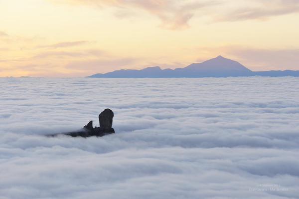 Canaryfly_'s tweet photo. Cuando nadie los ve, el Teide y el Roque Nublo comparten el mismo lecho de nubes. #Canarias. Vía @marrerojob http://t.co/iZElQ3OuhN