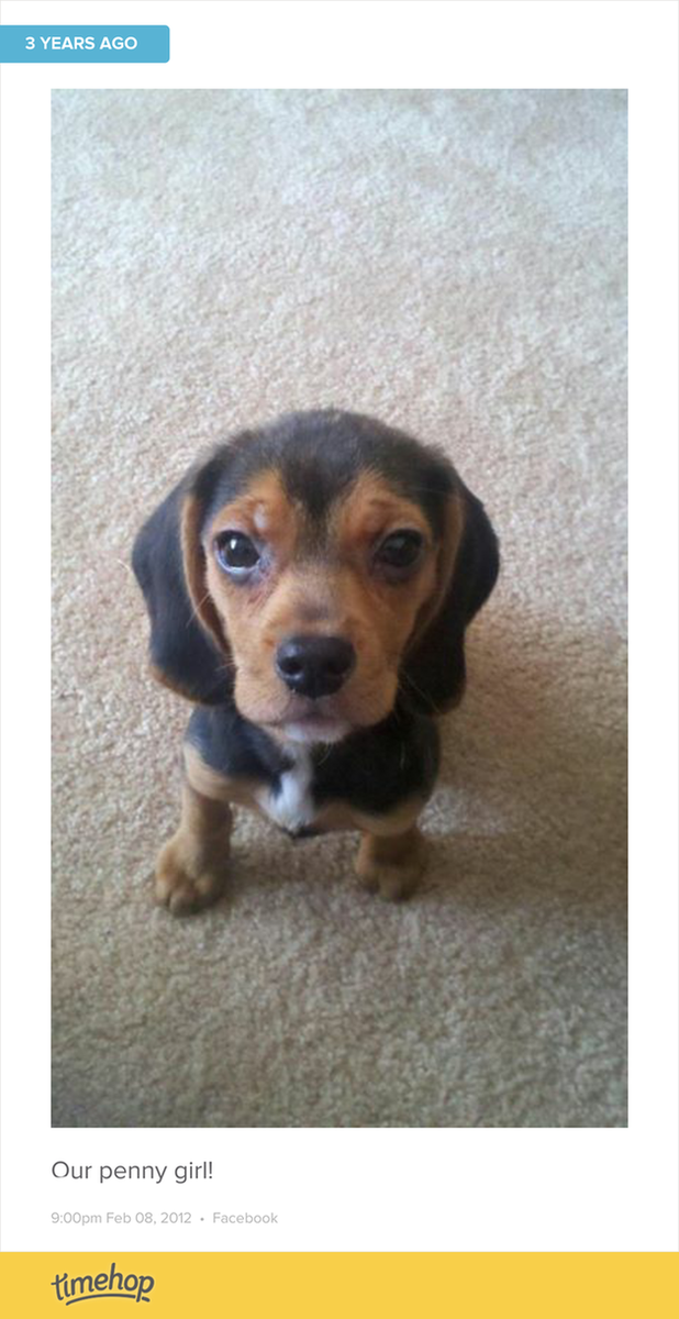my baby when she was a baby! timehop.com/c/fup:33172915…