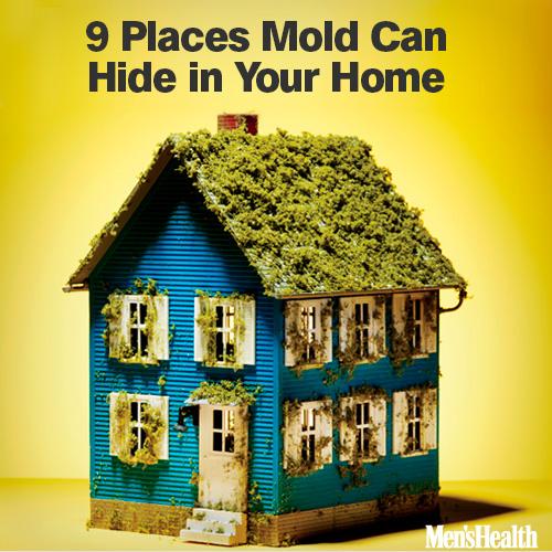 MensHealthMag's tweet photo. 9 places mold can hide in your house: http://t.co/HzN2Mxbo1Q http://t.co/qV5ZRVl4TU