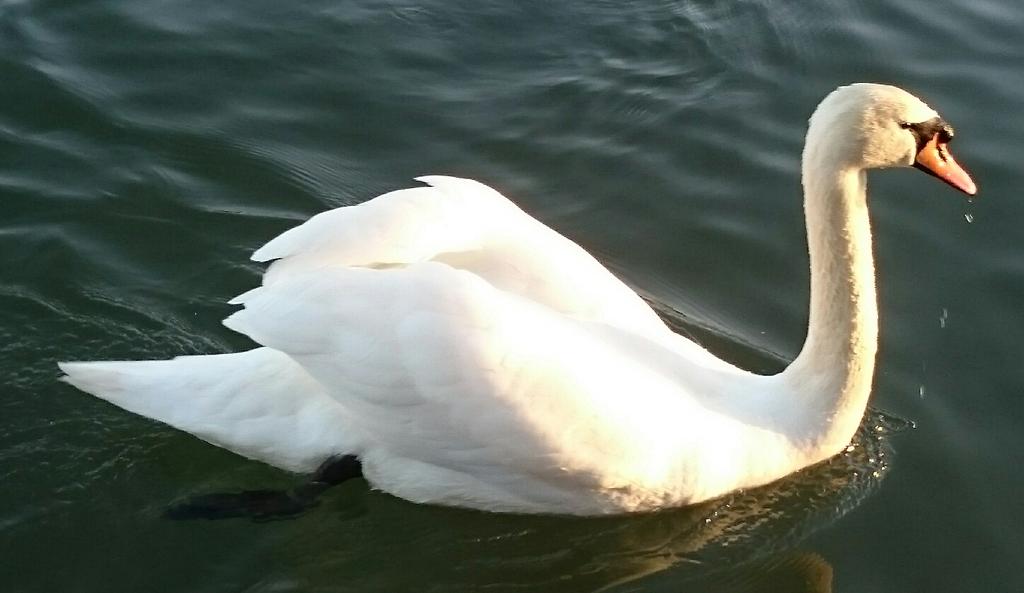 Lovely afternoon at Hurley Lock