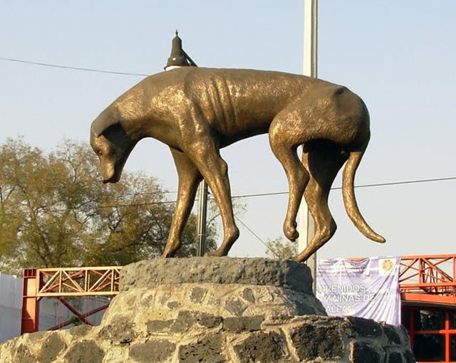 Tequila_Club__'s tweet photo. Un Monumento al perro callejero en la ciudad de México: http://t.co/79qEpICAB2…/ http://t.co/VWDQ3DvpwE