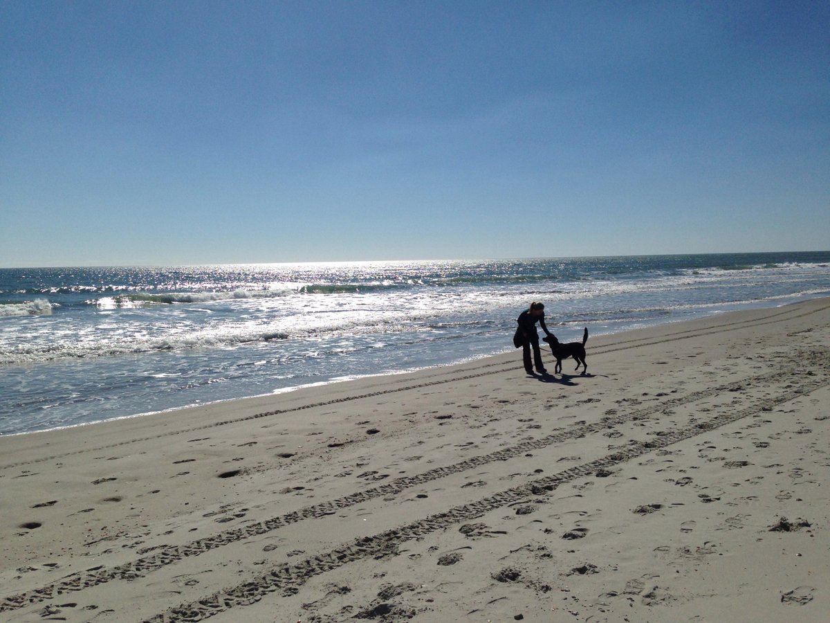 It was 70degrees and sunny today in Myrtle Beach. We are so lucky to live here!  <a href="/WhyNotTheBeach/">Why Not The Beach</a> @startupdotsc