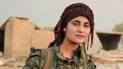 SerdarMahmud's tweet photo. لا نحلف بالكتب السماوية ومن ثم نترك سلاحنا في ارض المعركة وننهزم نحن نحلف بدم الشهداء ونأخذ بثأئرهم ونسير على دربهم http://t.co/0ivd1uW1Yc