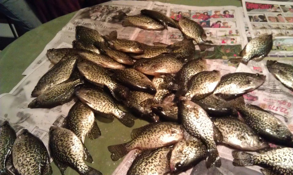MilesCline's tweet photo. @lildickytweets @Ye_Kitty We kept 2 fish over the limit. #whitecrime http://t.co/9zDOgOBEDn