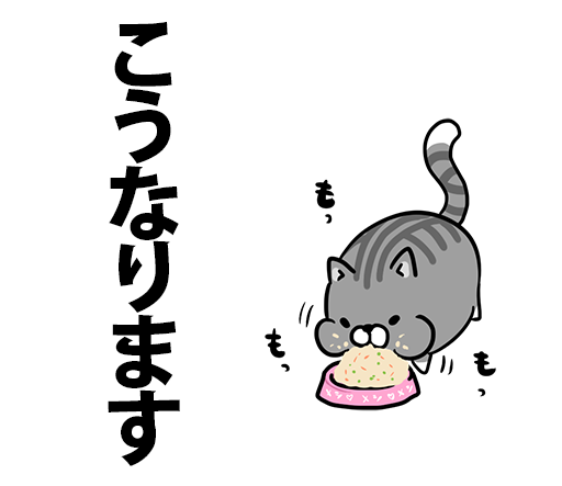 みなさんも注意しましょう #ボンレス猫 #ボンレス猫ができるまで 