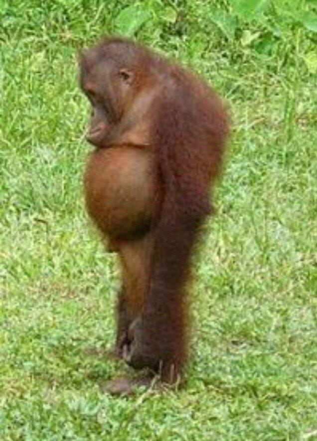 candypantsevent's tweet image. If this is all you can manage to do today then at least you have achieved something. #MondayMorningProblems