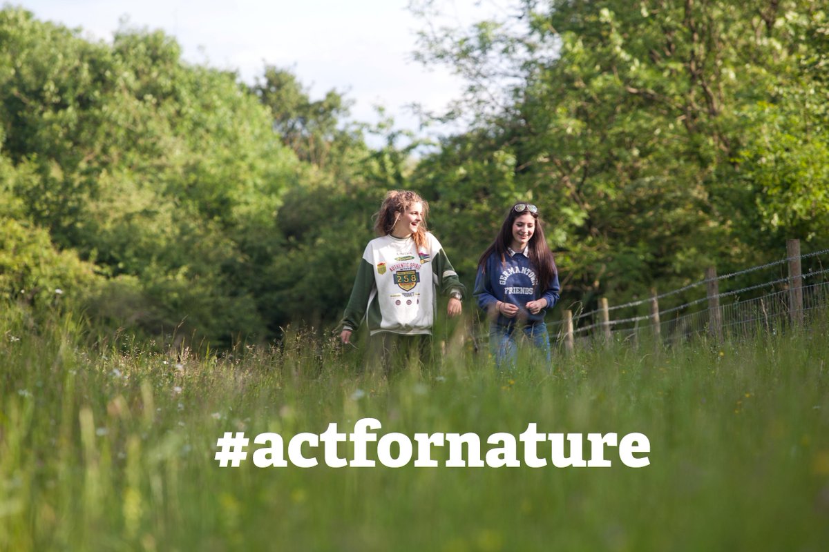 Perceived neighbourhood greenness is strongly associated with better mental &amp; physical health wtru.st/actfornature