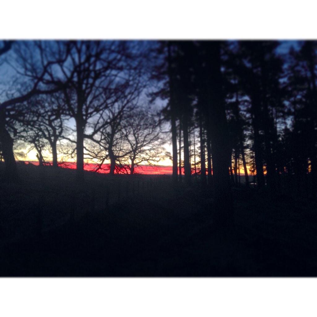 SewiousDeliwium's tweet photo. Just had to stop for a photo. Wish I could do it justice though! #twofootcommute #monday #kinnoull http://t.co/E4BqpWRjpI