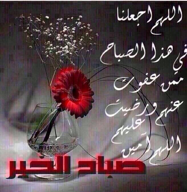 هياء البييشي (@hy8881) on Twitter photo 