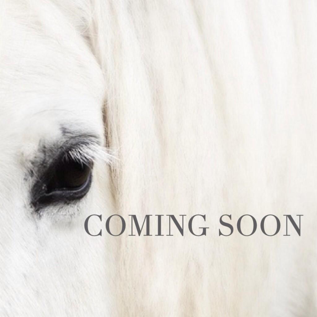 Be ready for our brand new concept. As we said before, February will be WHITE! Coming soon this Valentine's day