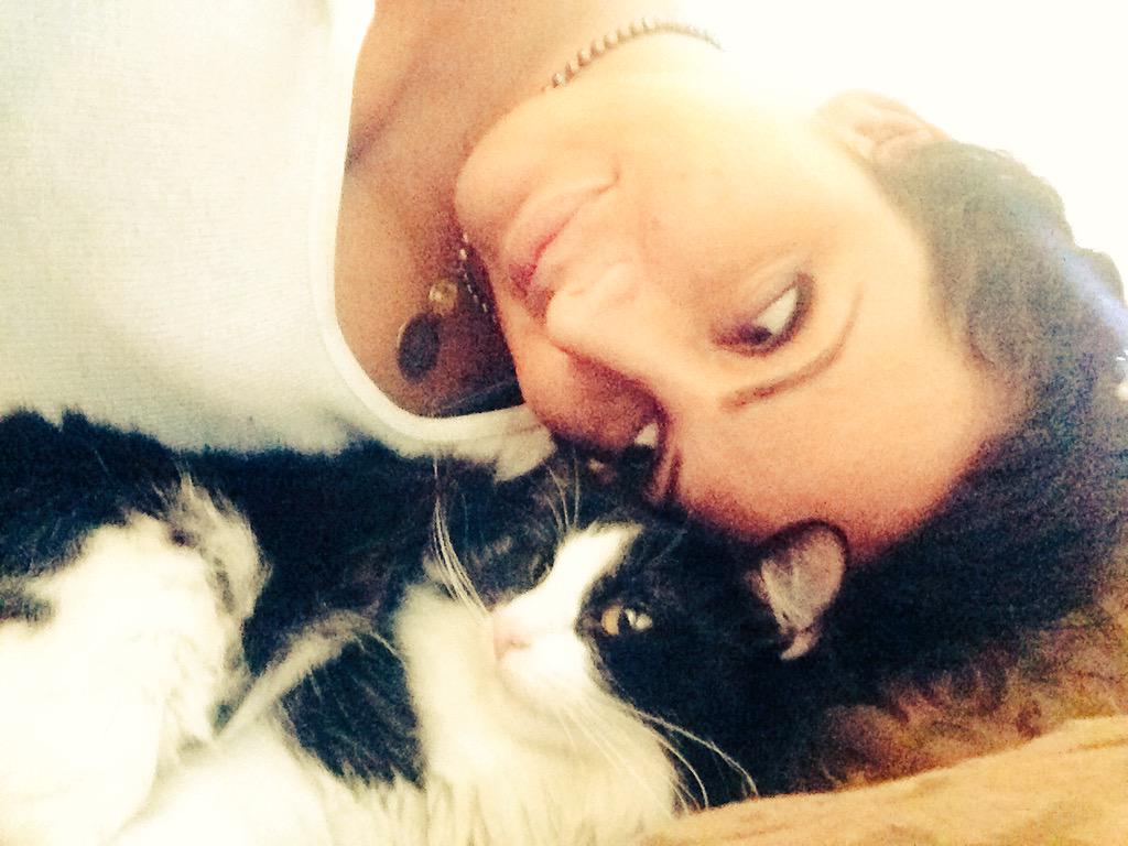 GinaGrad's tweet photo. Good night from #CatJamie and I. #ExtraFluff #ObviousPunsGetBlocked http://t.co/sTAdUAyWge