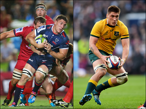 wallabies tweet picture