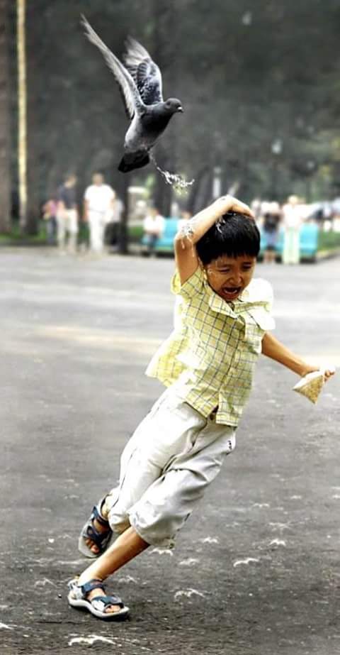 Oh gott... Jetzt gibt es sogar schon gezielte #Scheißangriffe