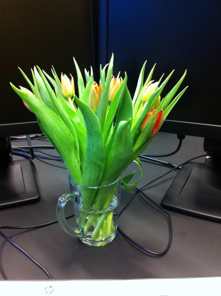 Dankjewel <a href="/NS_online/">NS online</a> voor aangename rit en fleurige attentie <a href="/NSRespect/">RespectvoorNS.nl</a> <a href="/175JaarSpoor/">175jaarSpoor</a>