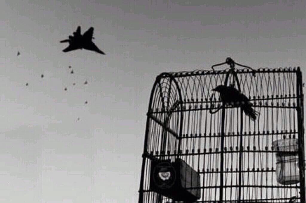 om_mo199's tweet image. هي كذلك … 
يُسْجَنُ فيها ما #يَنبضُ_بالحَياة…
ويُطلقُ في #سمائها_مايَقتلنا…
ويَقتل #الحياة_فينا..