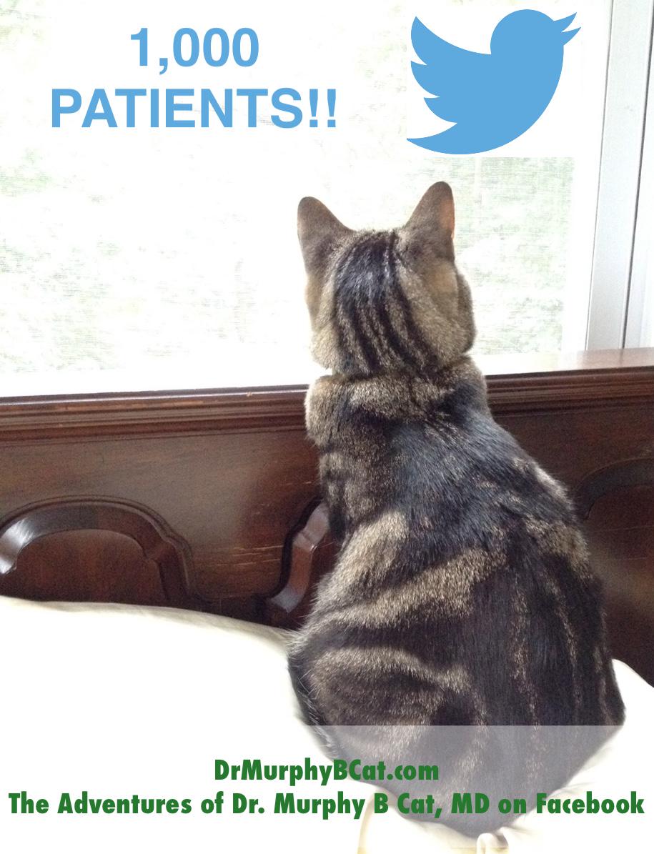 #Thankyou to all my purrfect friends, as I just hit 1,000+ #Patients!! #1000followers #1000Patients #CatsofTwitter :)