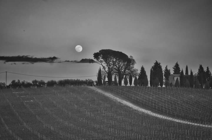 There's a moon over Tuscany tonight. #Sangiovese #Montepulciano #BeautifulTuscany