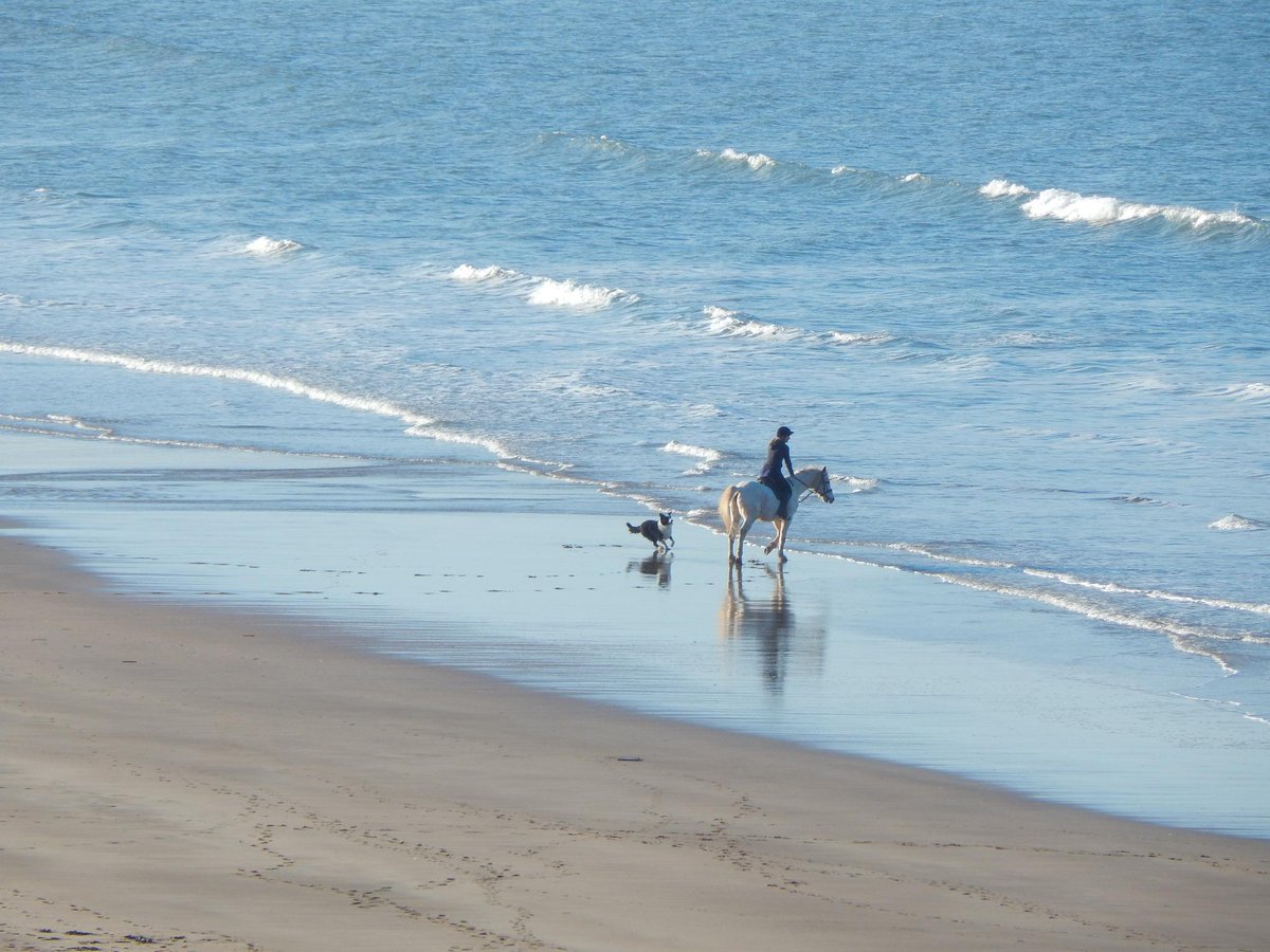 WoolacombeTIC's tweet image. Beautiful morning in #Woolacombe!