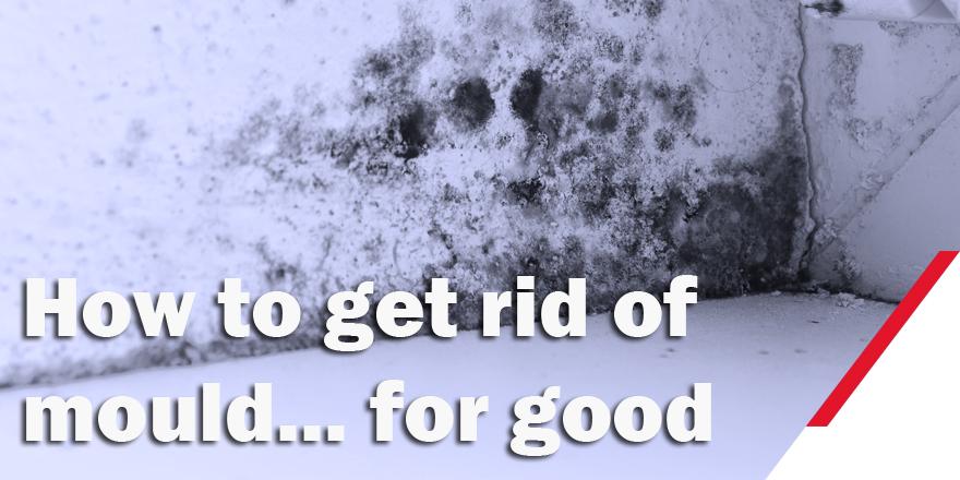 Find out what's causing your #mould problem and how to eliminate it from your home for good: goo.gl/PcRK7S