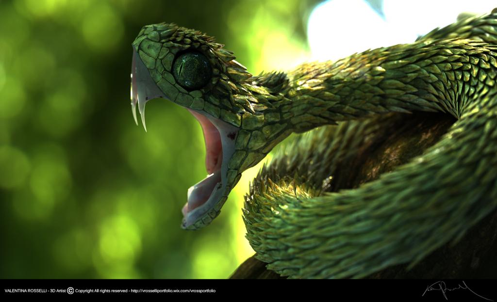 3D Artist on X: Image of the week is Atheris Hispida by Valentina  Rosselli!   / X