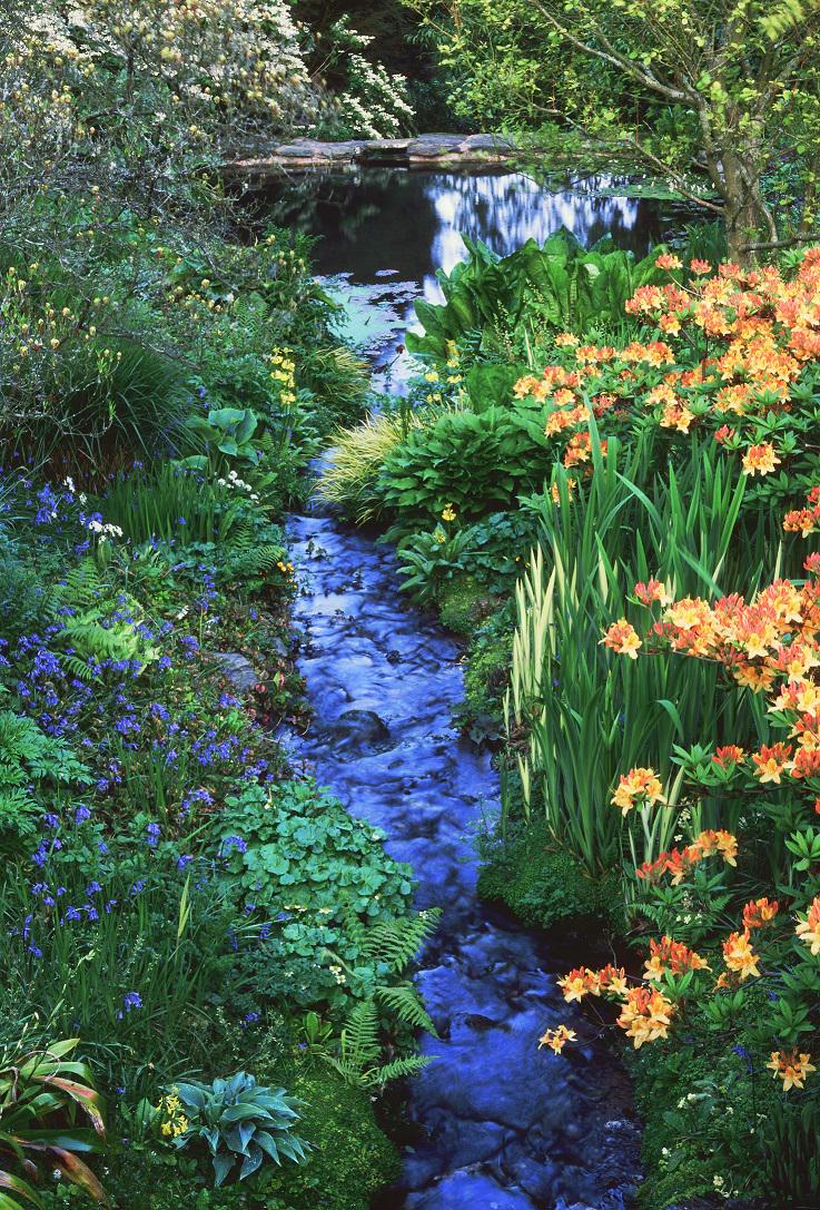 Send a love message down the stream to your sweetheart, when Coleton Fishacre reopens for Valentine's day this Sat.