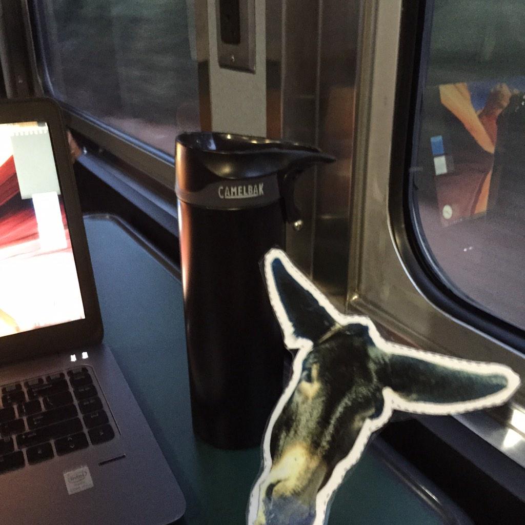 TravisZarins's tweet photo. #TravelinTrusty @TrustyGOPC rides the rails to #Charlotte for the Southern Apparel Market. #earlymorning http://t.co/JtTs14L2Ls