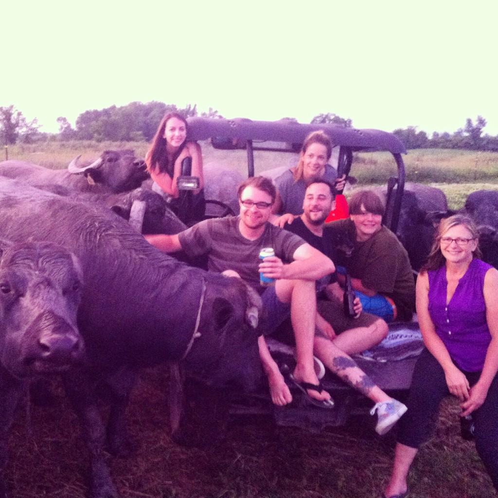 OntWaterBuffalo's tweet photo. Happy #FamilyDay from our family to yours! http://t.co/QECh9oGXe0