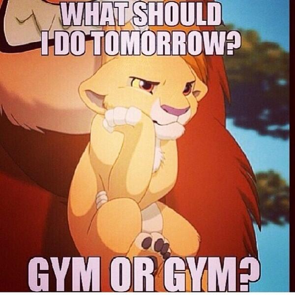 GymHumors's tweet photo. What to do tomorrow.. http://t.co/x2fYWTy7oC