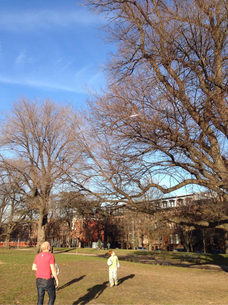 voozahq's tweet image. Just called the fire department because my drone is stuck in a tree. #siliconvalleyproblems