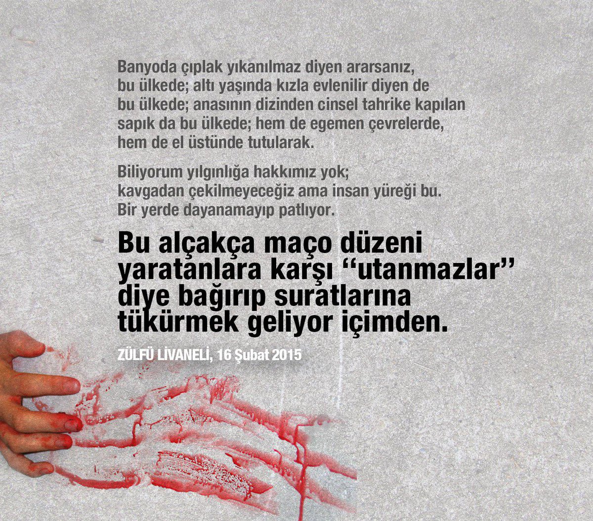 emine boz tweet media