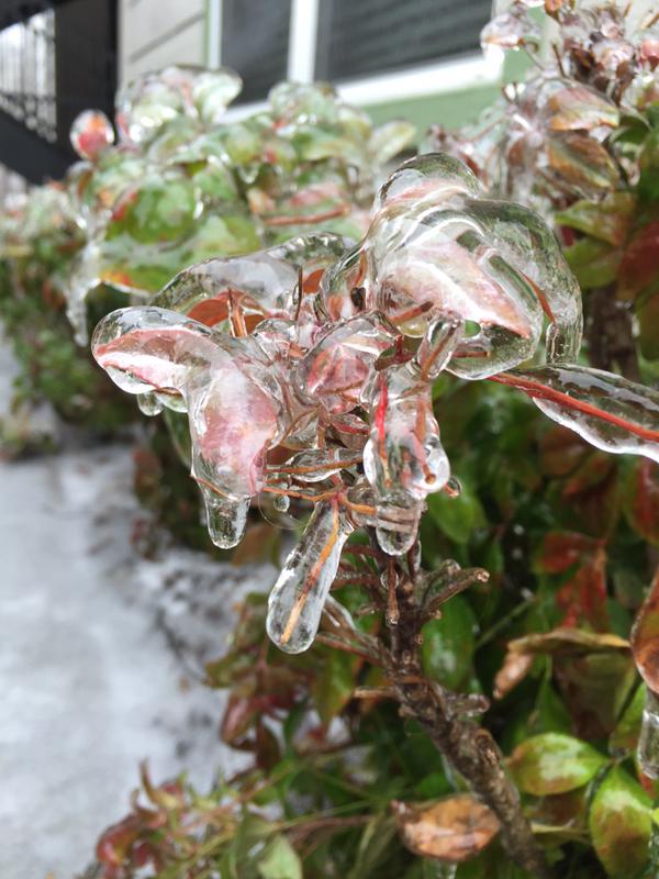 weatherchannel's tweet photo. Woah! #TN #Ice - #TNwx #Octavia #IceStorm RT@_emannsam_: @just1nbruce all ice here in Hendersonville. http://t.co/faqhQGgy5k