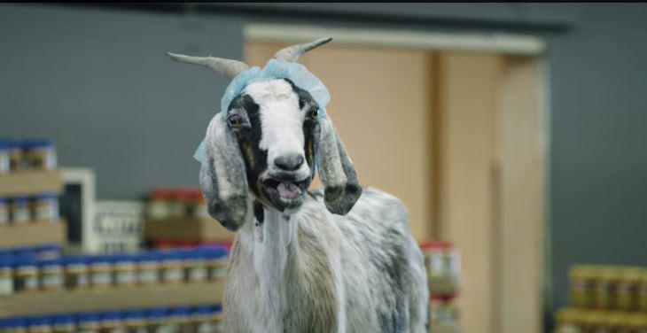 AdHawkLaurier's tweet photo. To describe this ad in one word: Scapegoat
#AdGawk http://t.co/pKstEzoDjX http://t.co/GZzOY8Xvlk