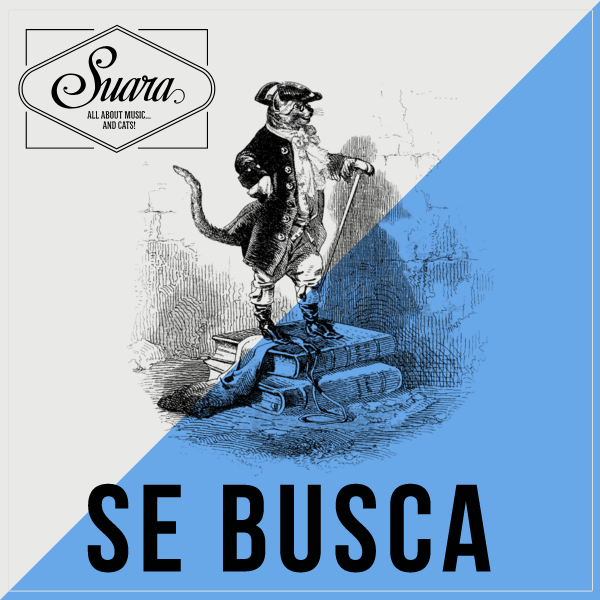 ibiza_design's tweet photo. RT @SuaraMusic: Suara precisa diseñador gráfico con experiencia, resolutivo y con iniciativa. Capaz de trabajar... http://t.co/bJF0TzCrlO