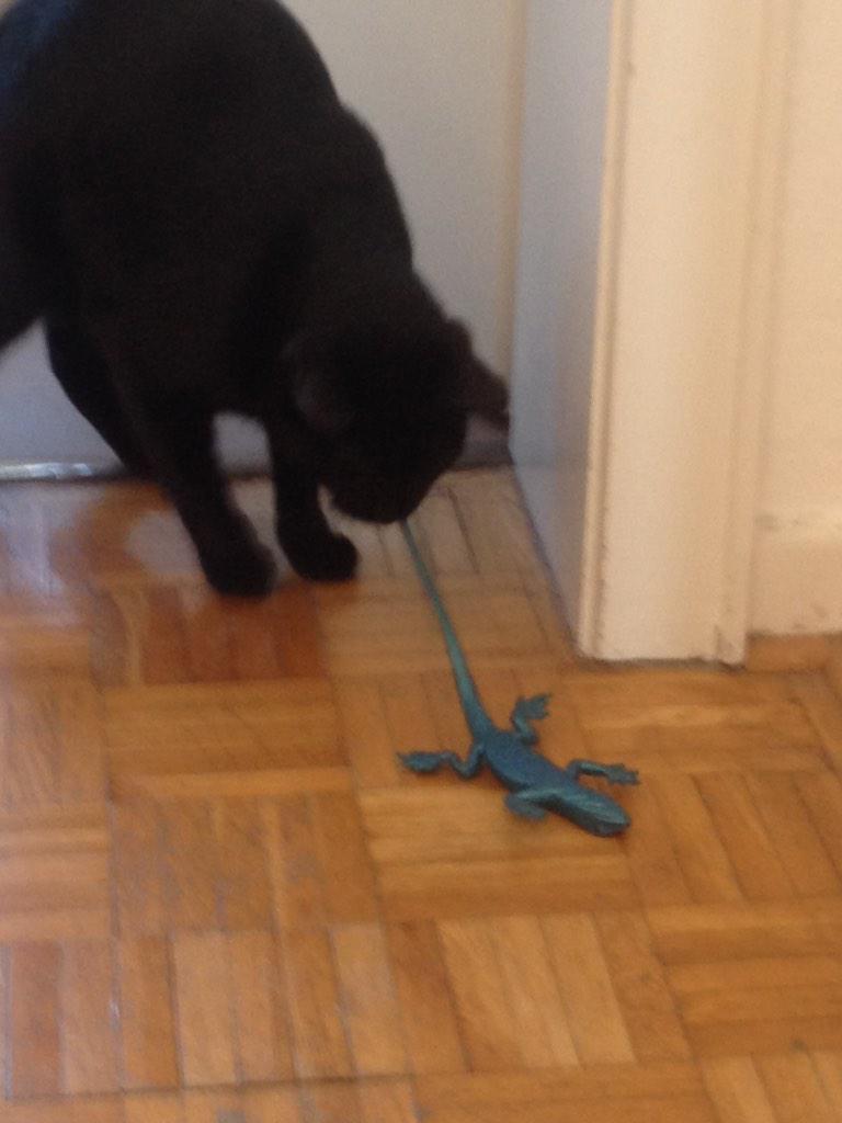 C: Seht mal, was ich gefunden habe😺