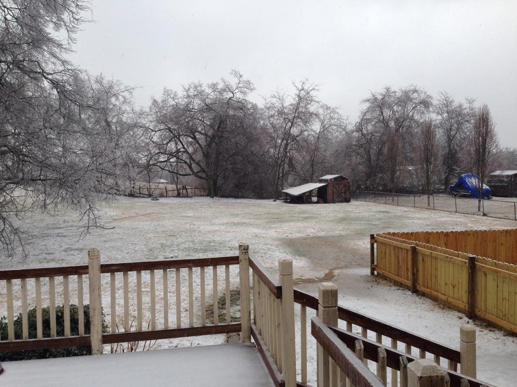 MR3wx's tweet photo. Precip has switched to mainly snow in Mount Juliet. #tspotter http://t.co/LFDxXIdO3t