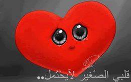 laramnla1's tweet photo. @TabbakhSamora @ZeytounNassif جمالو مش عادي يا ماما http://t.co/Q0UrpNY3Fe