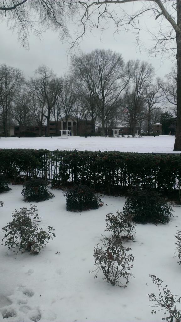 brenna_walters's tweet image. I can't wait to call this beautiful place home in the fall #HardingUniversity