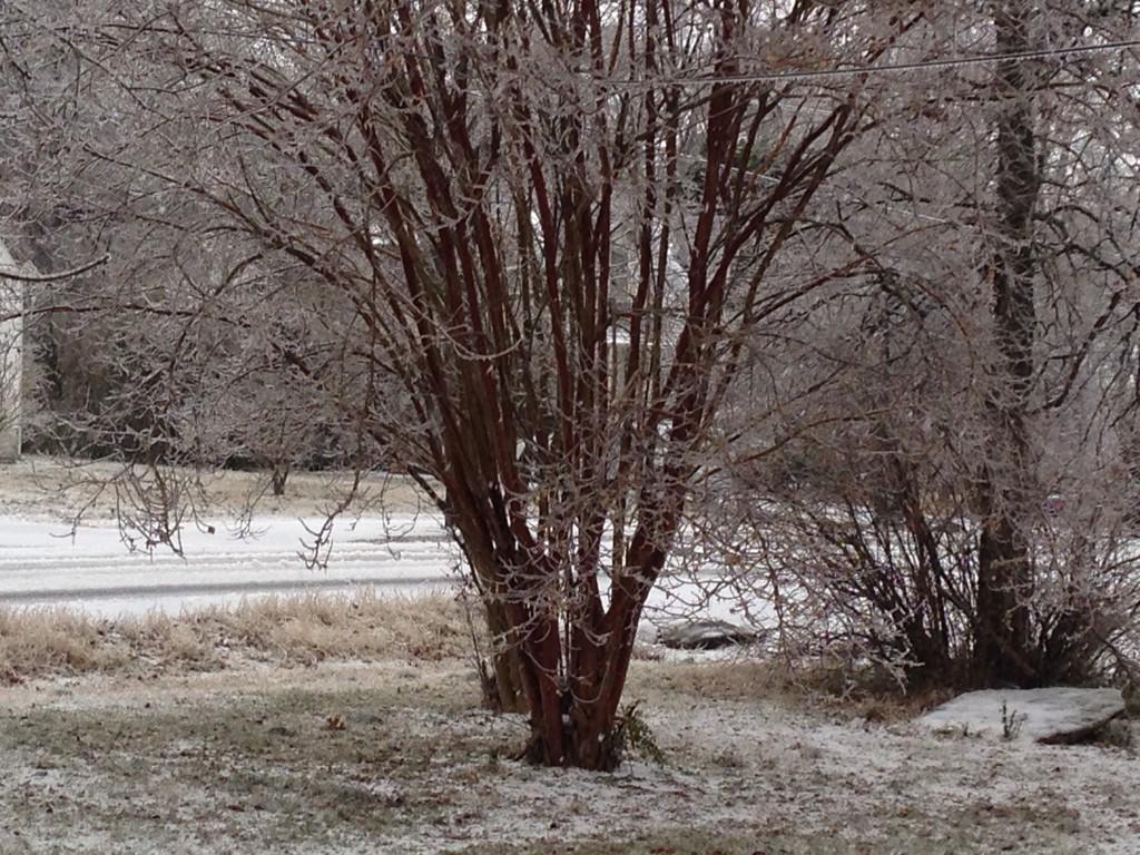 mabry_dana's tweet photo. Finally snowing here! #donewithice #hopefully http://t.co/r1XGT6abko