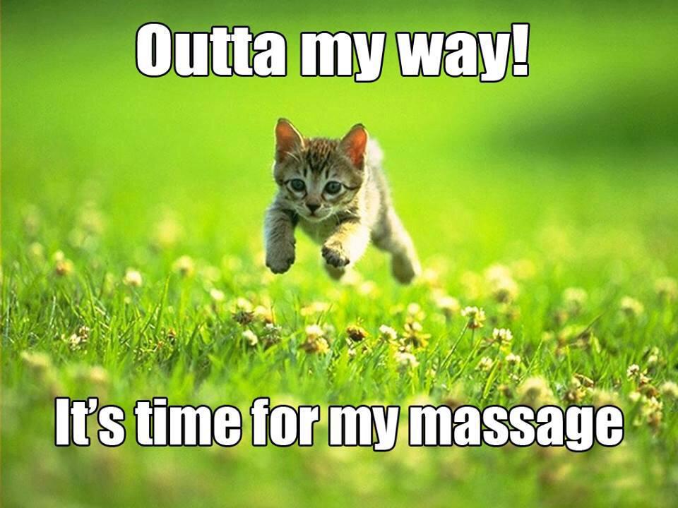Its_Fresh's tweet image. Hello again @NorthEastHour! 

Beat the rush and book in with a friend now to receive a massive 33% off each massage!
