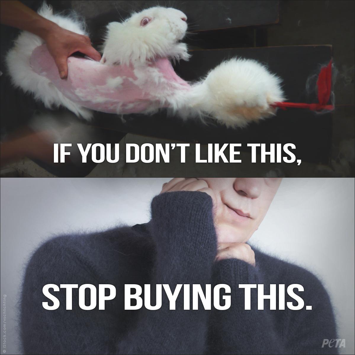peta's tweet photo. NOTHING is worth TEARING fur from rabbits as they SCREAM in pain.

Tell @BCBGMAXAZRIA to STOP: http://t.co/4h3lMnyefb http://t.co/39RIkCtPKr