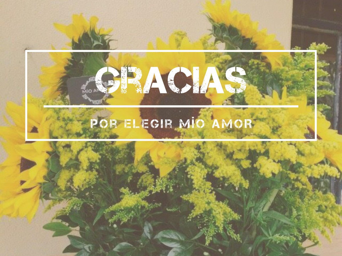 wpmioamor's tweet photo. ¡¡¡ AMOR CON GIRASOLES ¡¡¡. #mioamoreventos http://t.co/WgBiXQGSKm