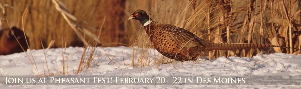 iowadnr's tweet photo. #Pheasant Fest is back - don't miss it! Sat (9am-6pm) and Sun (10am-5pm): http://t.co/0hiBtSFXl0 http://t.co/vf8N583HhM #DesMoines
