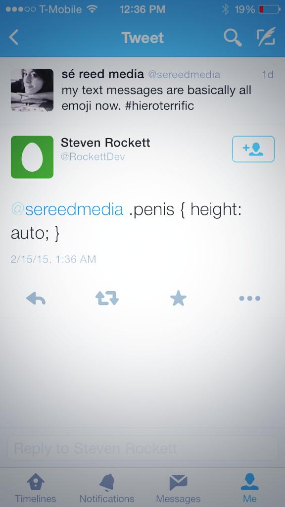 sereedmedia's tweet photo. because what tweet *isn't* made better with a little penis. #dirtycss #womenintech #yesallwomen http://t.co/VX02IpJwJZ