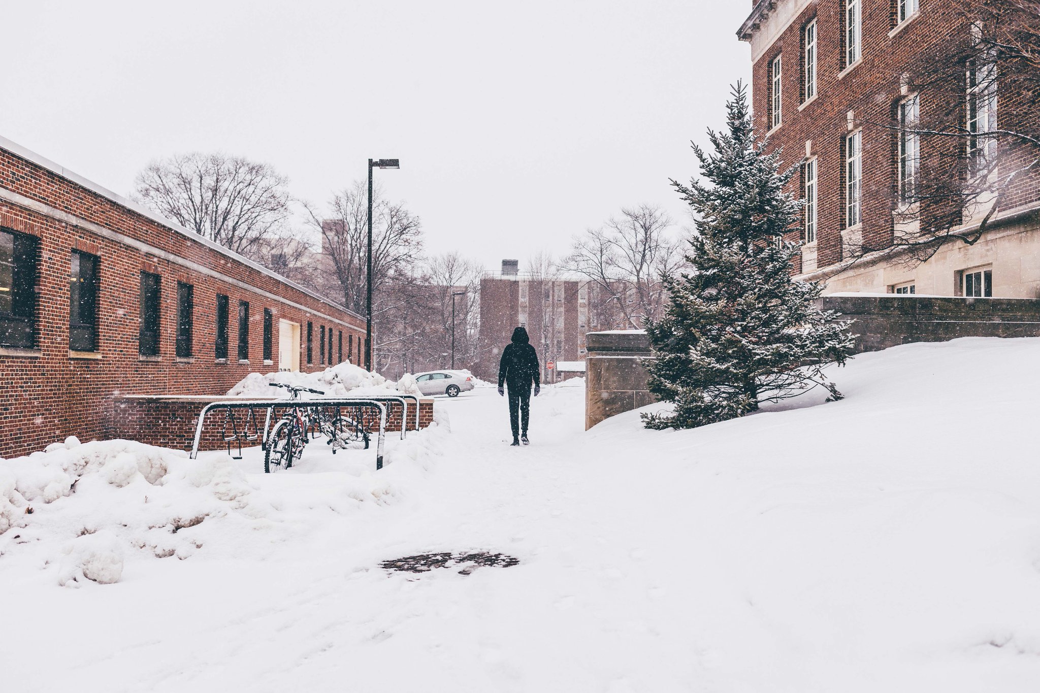 Onward State On Twitter With A Wind Chill Of 20 Below Today Penn