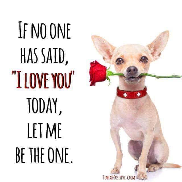 GodfavoriteLady's tweet photo. @godsfavored78 http://t.co/DjX9LyiQlH