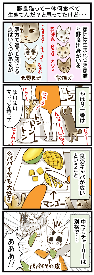 ブログ更新しました☆ 南国どぅる~ん日記 : 野良猫って一体何食べて生きてんだ?と思ってたけど・・・ http://t.co/LQt3JXtrnm