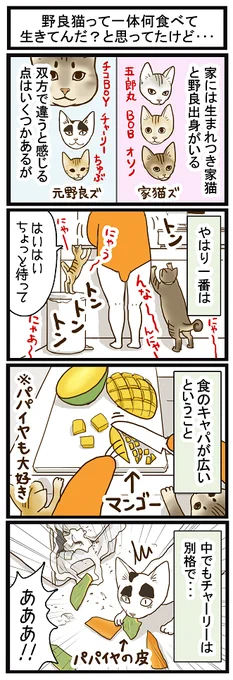 ブログ更新しました☆ 南国どぅる～ん日記 : 野良猫って一体何食べて生きてんだ?と思ってたけど・・・ http://t.co/LQt3JXtrnm 