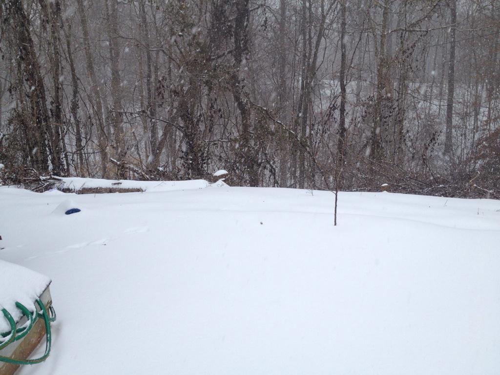 HelFireStingRay's tweet image. //outside right now